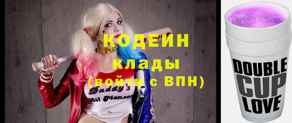 индика Баксан