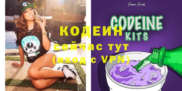 индика Баксан