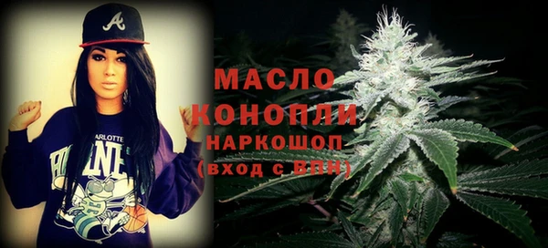 индика Баксан