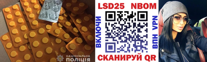 дарнет шоп мега сайт Лсд 25 экстази кислота Городовиковск
