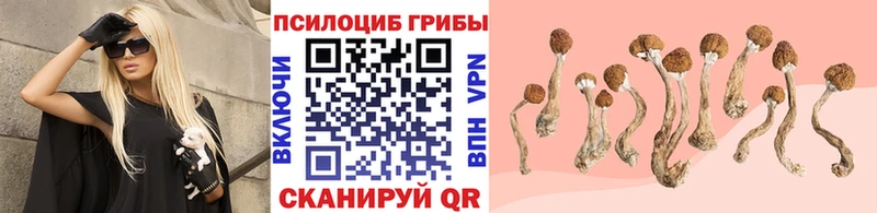 Псилоцибиновые грибы ЛСД Городовиковск