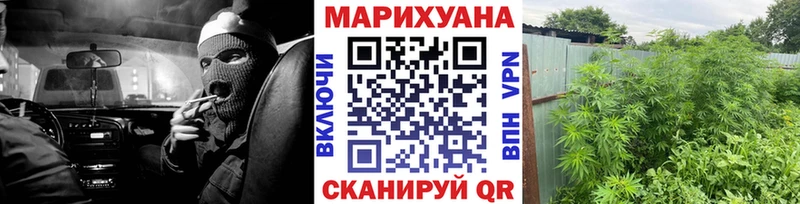 Каннабис конопля  Городовиковск 